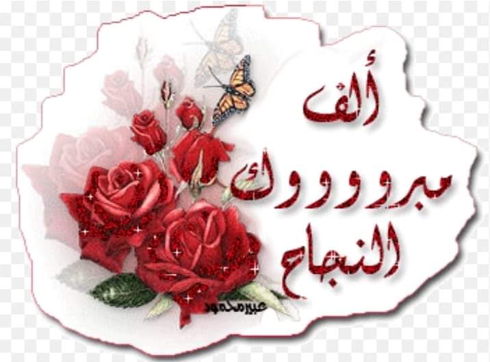 FB IMG 1689341690432