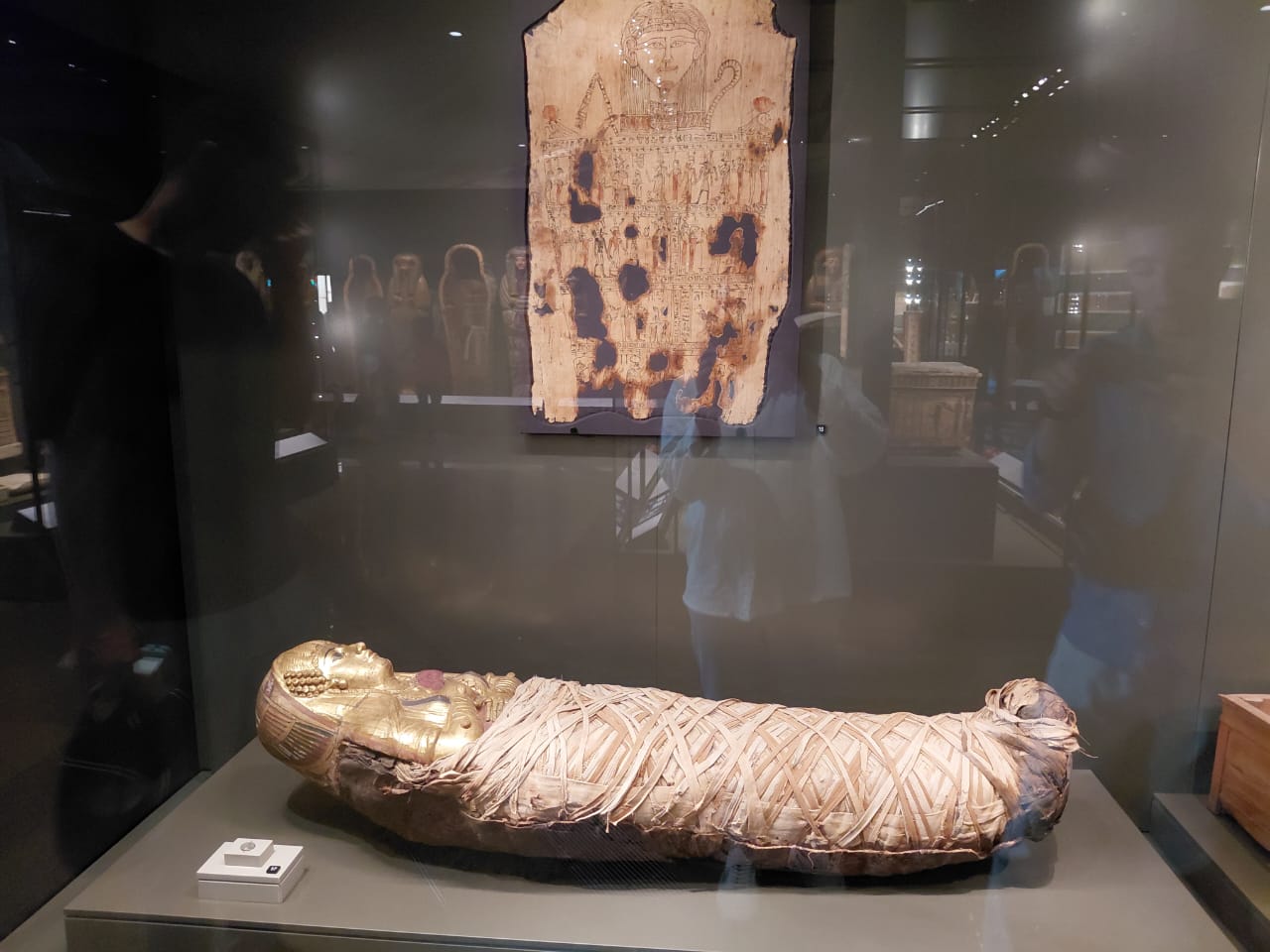 4d67f43d 7b7e 4908 a89d 5bd3c8db9f72